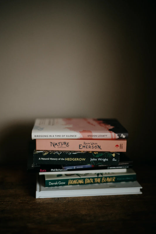 The Power of Subscription Bookish Bundles Unleashed