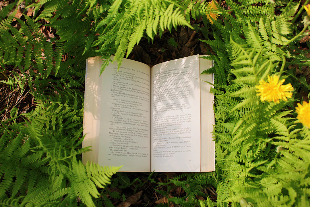 Sustainable Bookish Bundles Eco-Friendly Options Galore