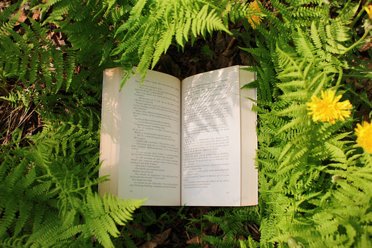 Sustainable Bookish Bundles Eco-Friendly Options Galore
