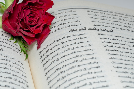 Red rose on an open book displaying arabic script.